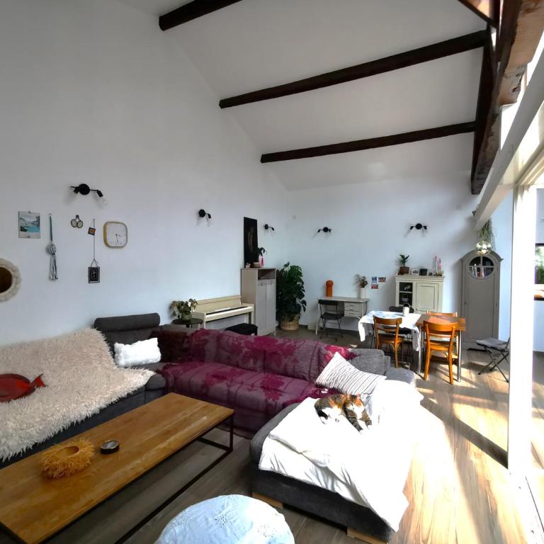loft Samatan Endoume - Apartamento Clásico - 4