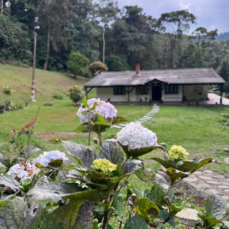 Finca Neblina del Bosque - Cerca a Dapa - Casa - 3