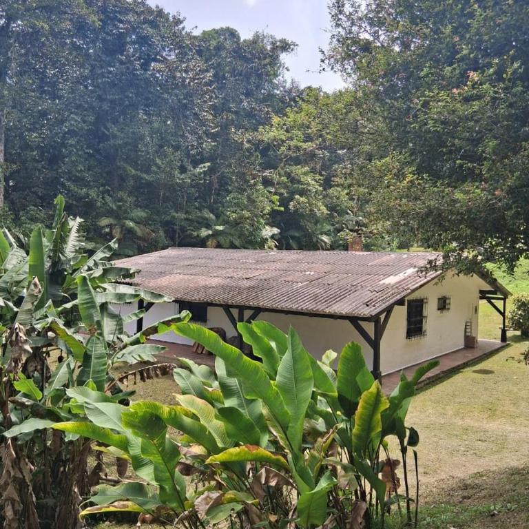 Finca Neblina del Bosque - Cerca a Dapa - Casa - 13