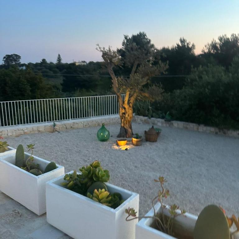 Il Sole D'Itria - Private Pool Villa - Two-Bedroom House - 34