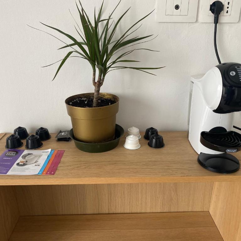 Appartamento con ampio terrazzo - Appartamento con 1 Camera da Letto - 13