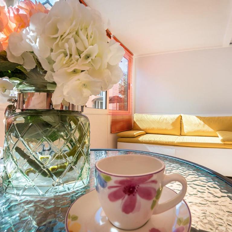Mango Apartment Petrovac - Family Studio - 1