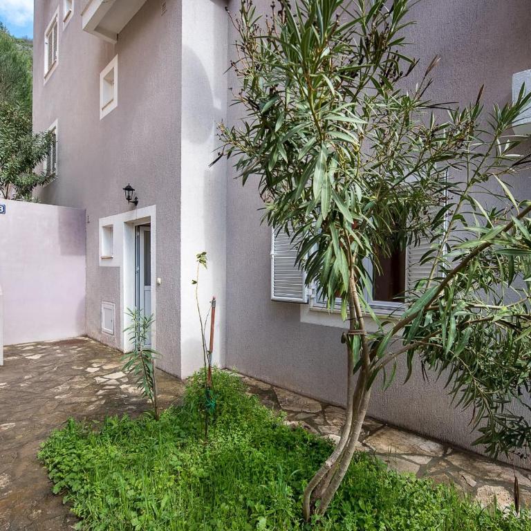 Mango Apartment Petrovac - Family Studio - 15
