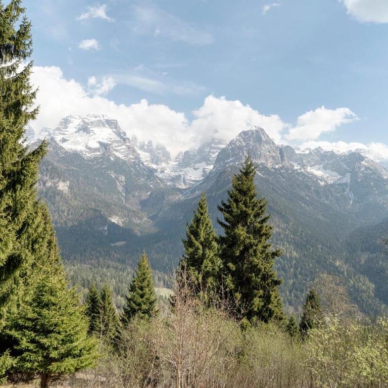 Relax At The Mountain - Appartamento Superior con 1 Camera da Letto e Balcone - 20