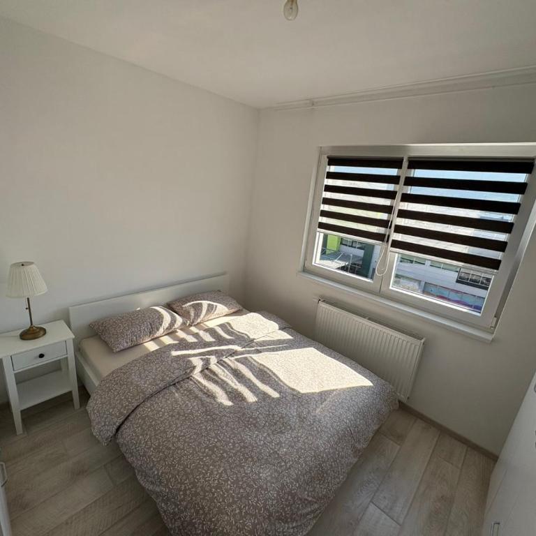 Apartmen RR - One-Bedroom Apartment - 4