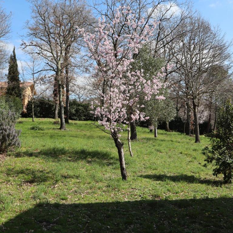 Turona Green Retreat - Casa con 3 Camere da Letto - 40