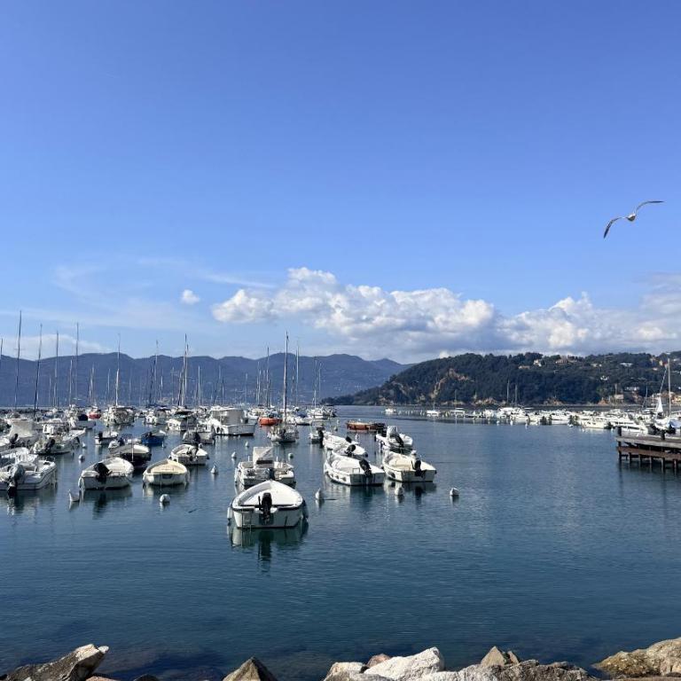 Bright Sea-View Apartment on Two Floors in Lerici, up to 4 Guests - Appartamento con 2 Camere da Letto - 18