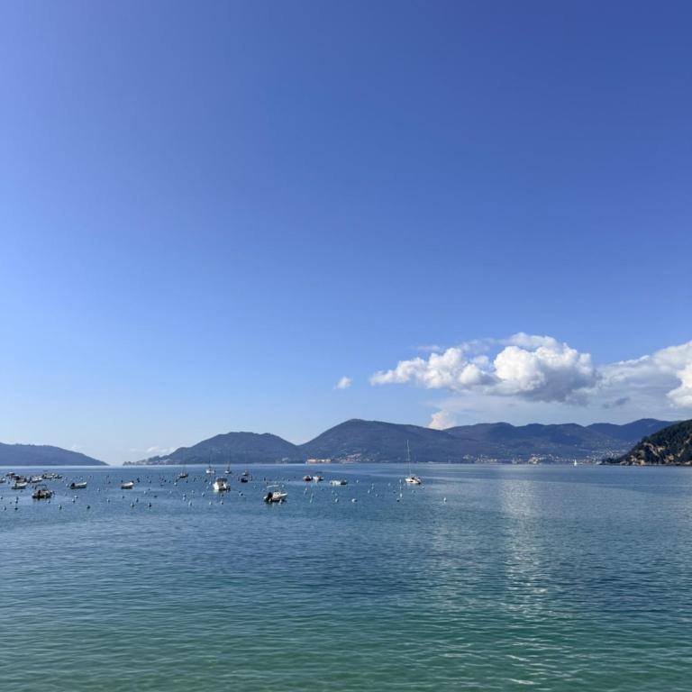 Bright Sea-View Apartment on Two Floors in Lerici, up to 4 Guests - Appartamento con 2 Camere da Letto - 19