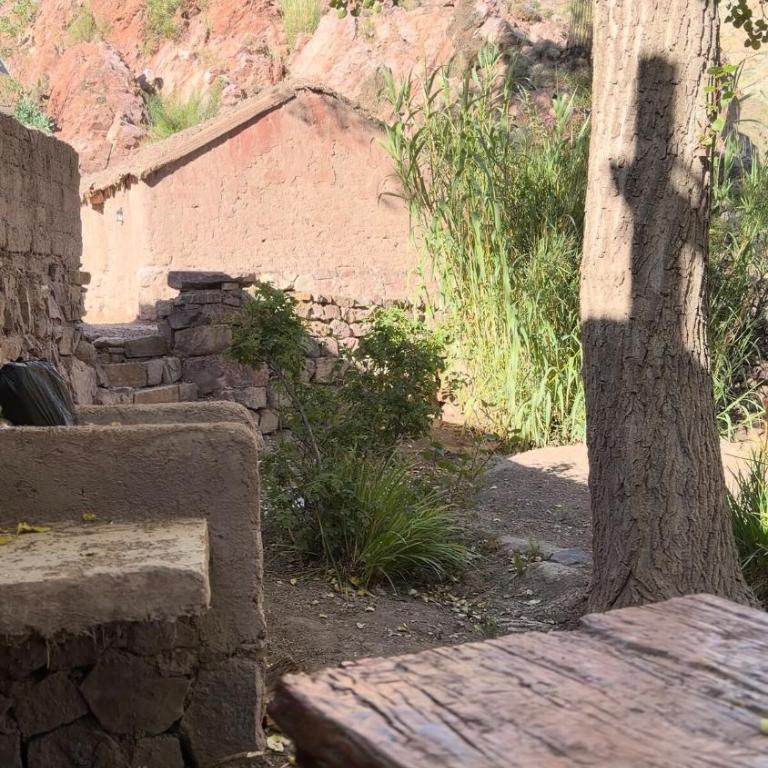 Las Cuevas - Casa de adobe en Huachichocana - One-Bedroom Chalet - 23