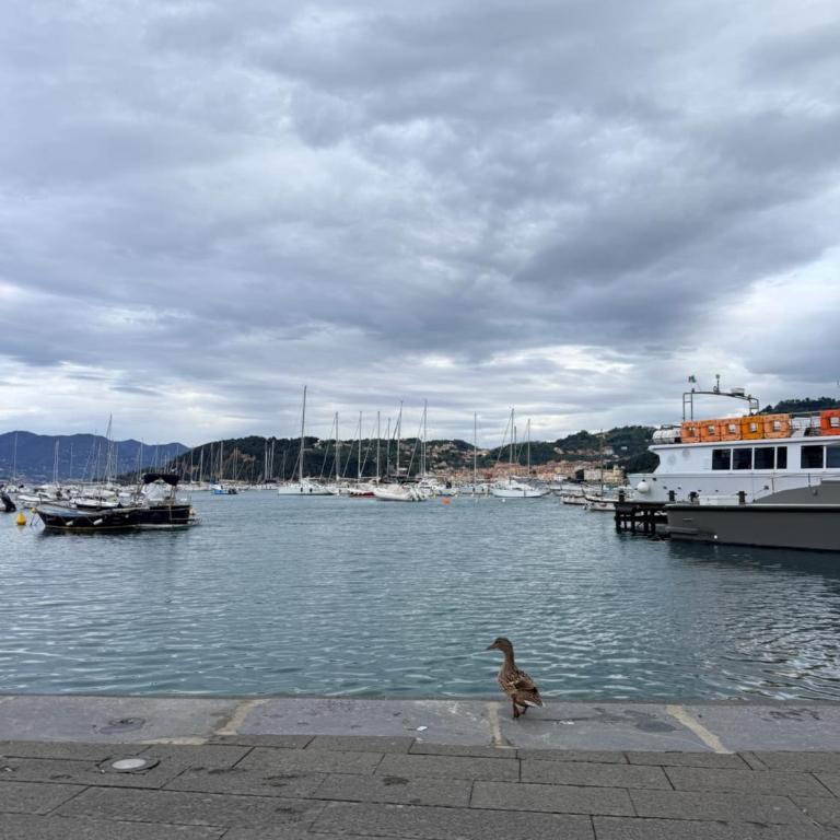 Bright Sea-View Apartment on Two Floors in Lerici, up to 4 Guests - Appartamento con 2 Camere da Letto - 25