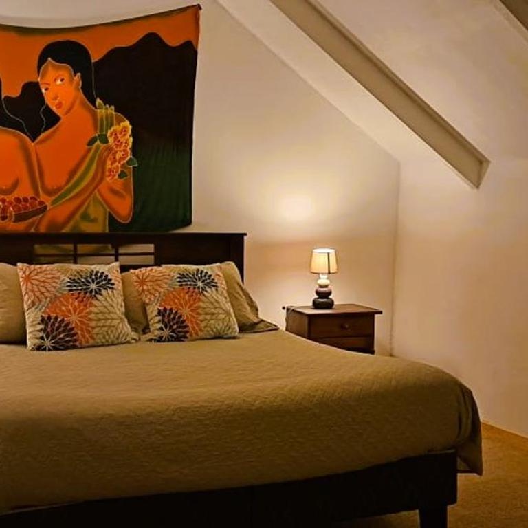 Hare Te Maori - Three-Bedroom House - 11