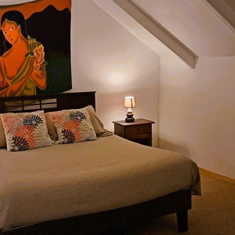 Hare Te Maori - Three-Bedroom House - 12