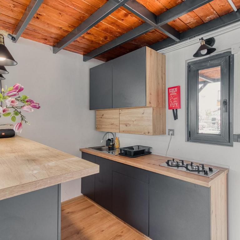 Splav Nolita - Apartman na vodi - One-Bedroom House - 14