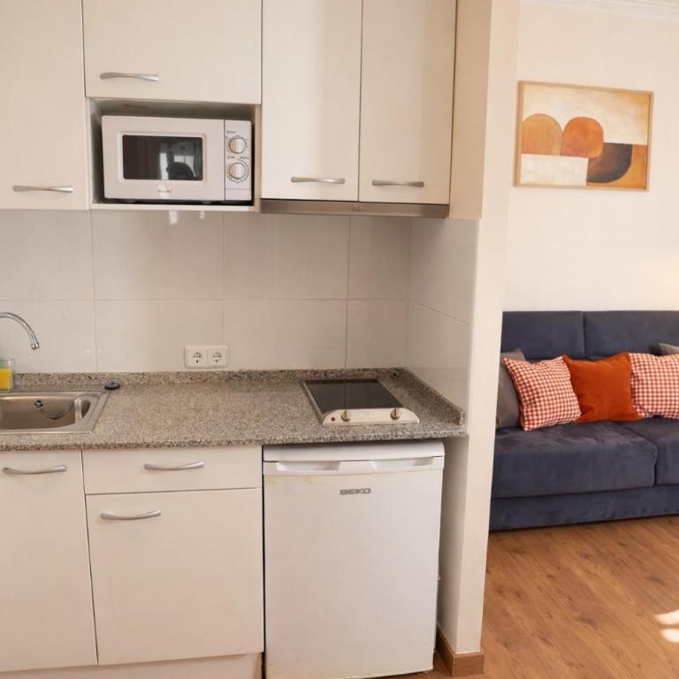 Tibidabo Apartments - One-Bedroom Apartment with Terrace - 8