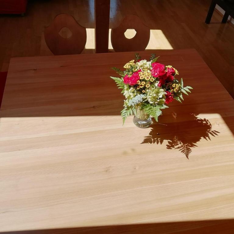 Appartement Moni / Golf & Ski - TOP 9 - Apartment mit Dusche - 80