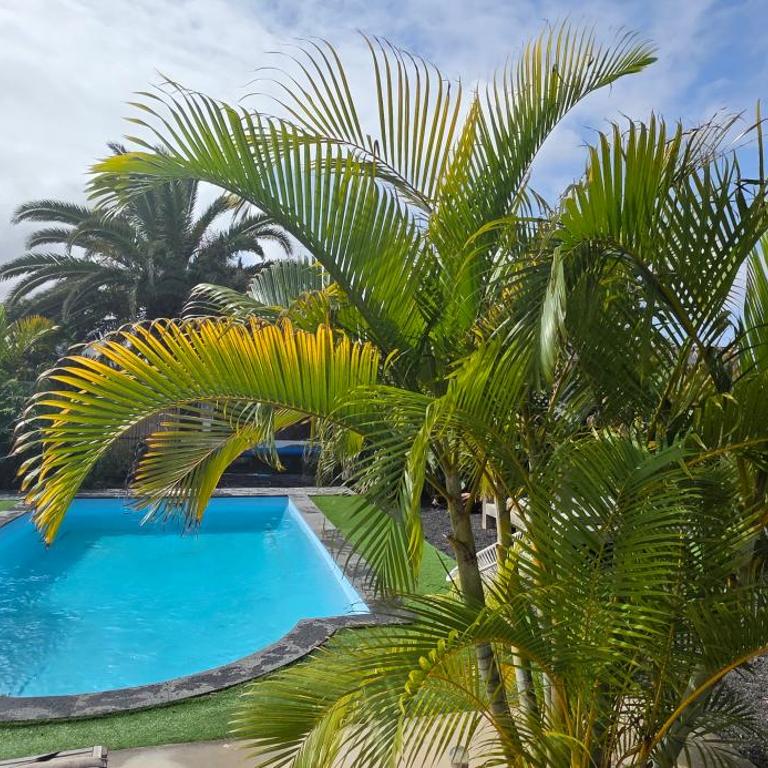 Oasis Lajares Charming oasis with pool and garden in Lajares - Villa de 3 dormitorios - 50