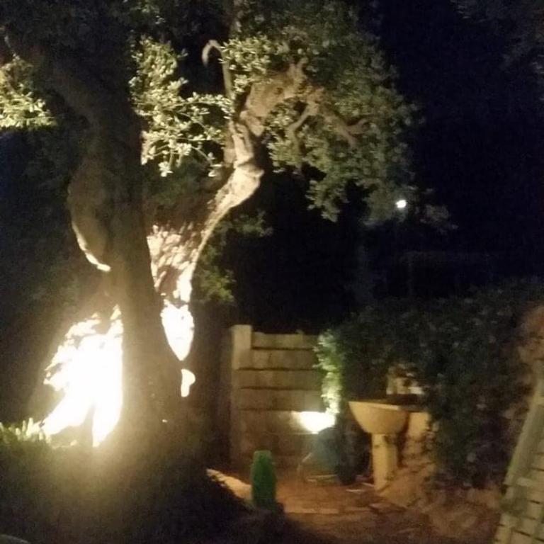 Ostuni Trullo di Charme with pool - Two-Bedroom House - 41
