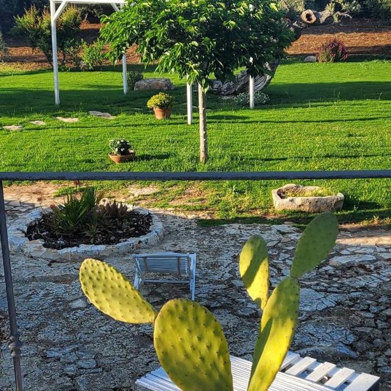 Ostuni Trullo di Charme with pool - Two-Bedroom House - 11