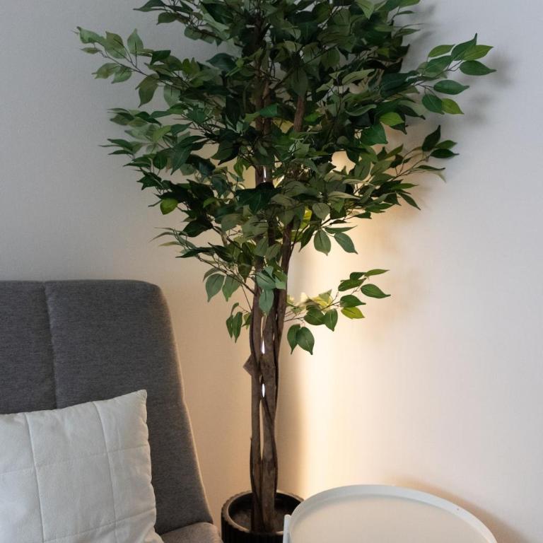 Stylish Apartment with Free WiFi 3 min to BIG Mall Quiet and Well Connected - Apartman sa 1 Spavaćom Sobom - 12