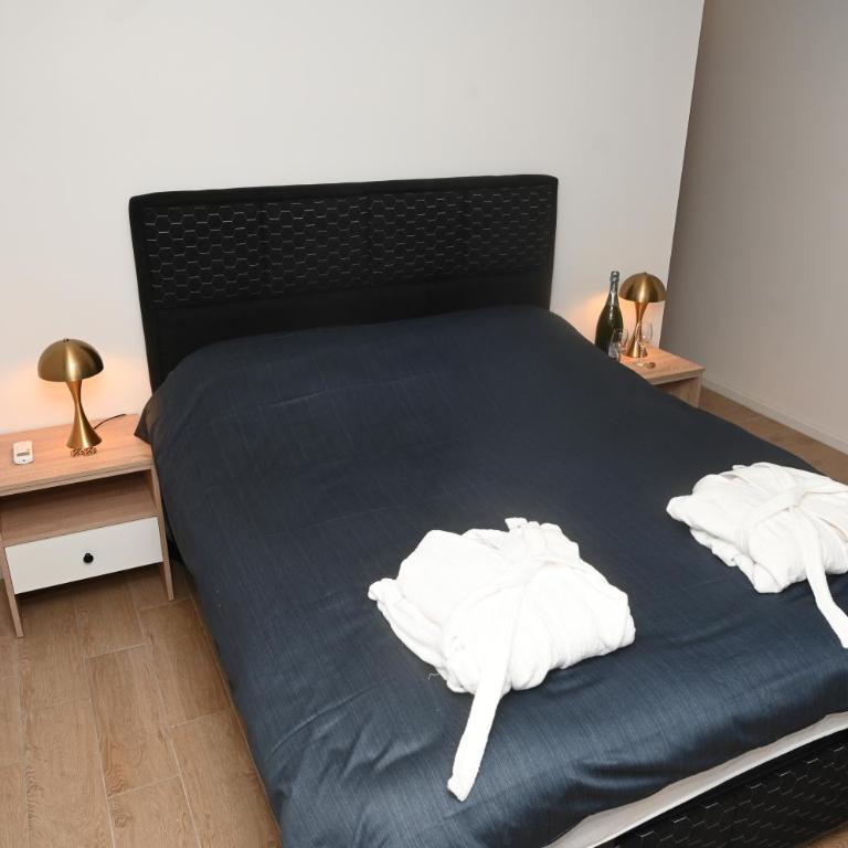 Daisy 1 - One-Bedroom Apartment - 7