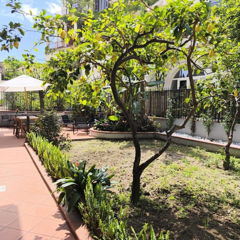 Coccole Marine - discesa a mare Posillipo - Apartment with Sea View - 12