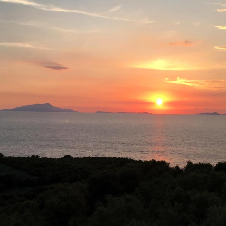 Hotel Dania - Double or Twin Room with Sea View - 2