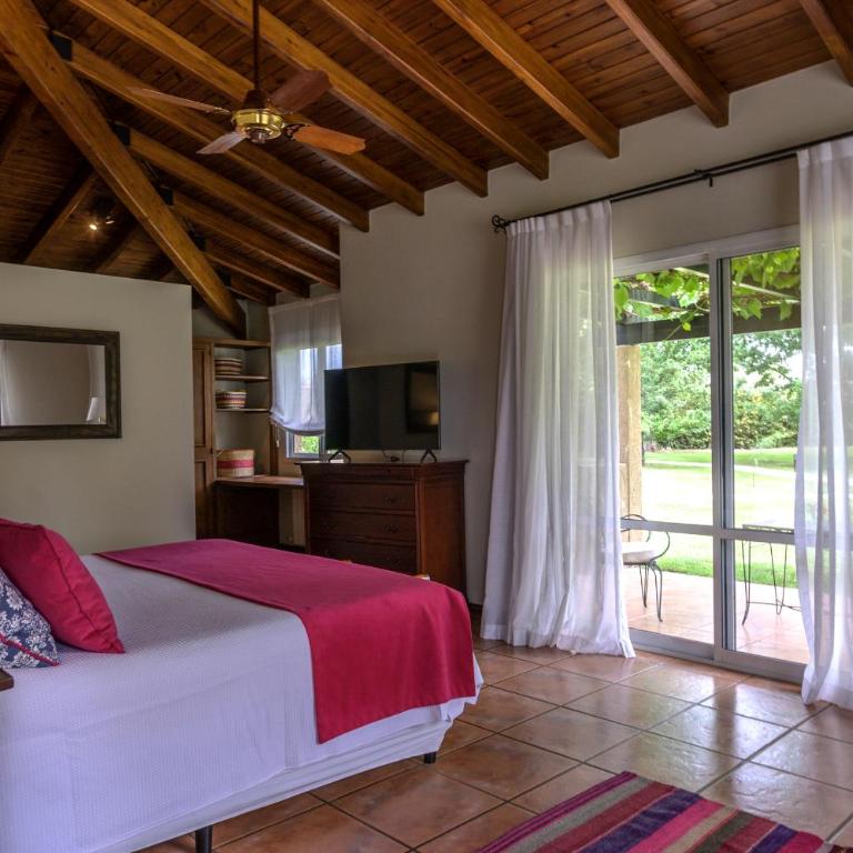 Finca Verde Oliva Wine & Olive Estate - Habitación Superior - 1 cama grande - 5