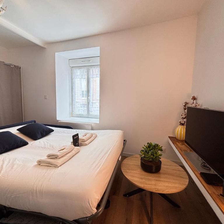 Cernay 3 Studio en RDC proche commerce et centre - Studio - 19