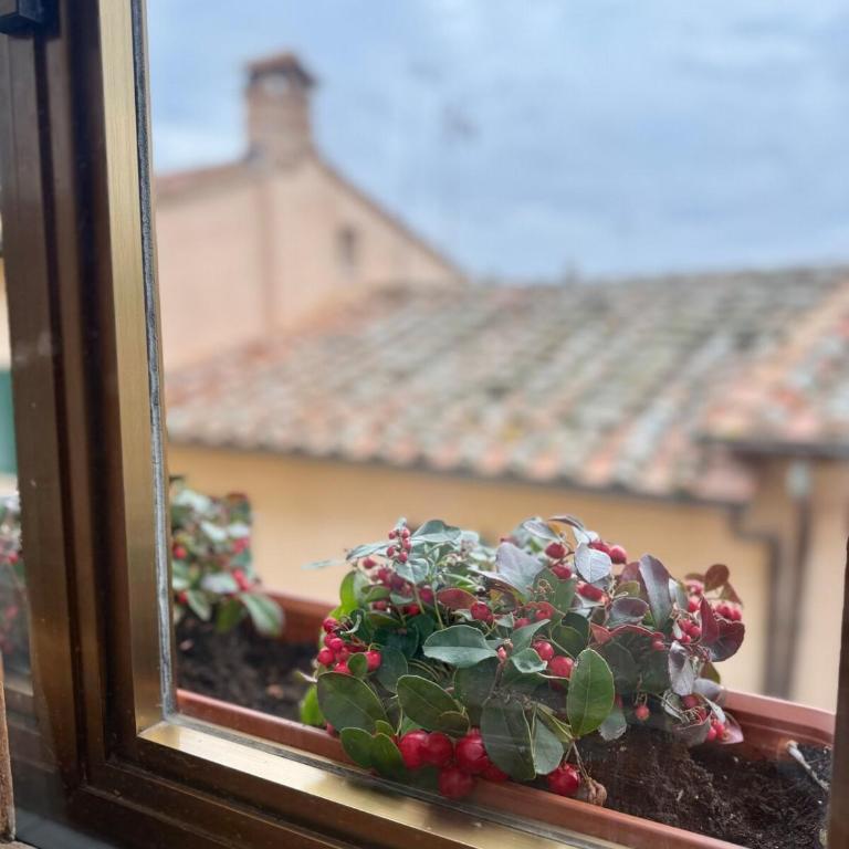 Penthouse Serena Montepulciano - Appartamento con 2 Camere da Letto - 6