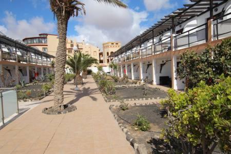 Poolside Oasis Ground Floor, WiFi & Terrace - Apartamento de 1 dormitorio - 11