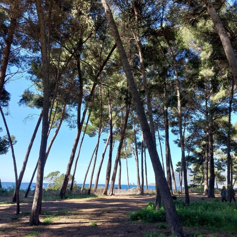 Appartement lumineux de 55 m2 avec 2 chambres, jardin de 90m2 et accès plage et commerces à pied - Apartment mit 2 Schlafzimmern - 10