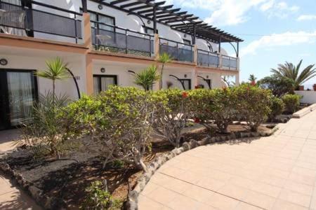 Poolside Oasis Ground Floor, WiFi & Terrace - Apartamento de 1 dormitorio - 16