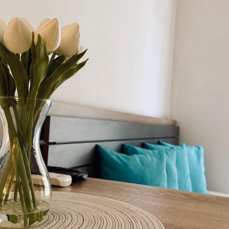 Bonaca Studio Budva - Free private parking - Studio sa Terasom - 2