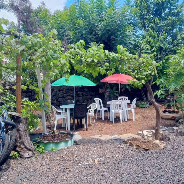 MINISUITE para 2, CASA OASIS GALAPAGOS - One-Bedroom Apartment - 3