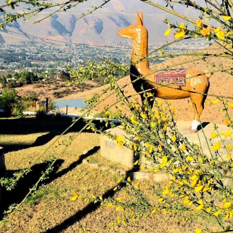 Mejor lugar del mundo Tafi del valle - Casa de 2 dormitorios - 22
