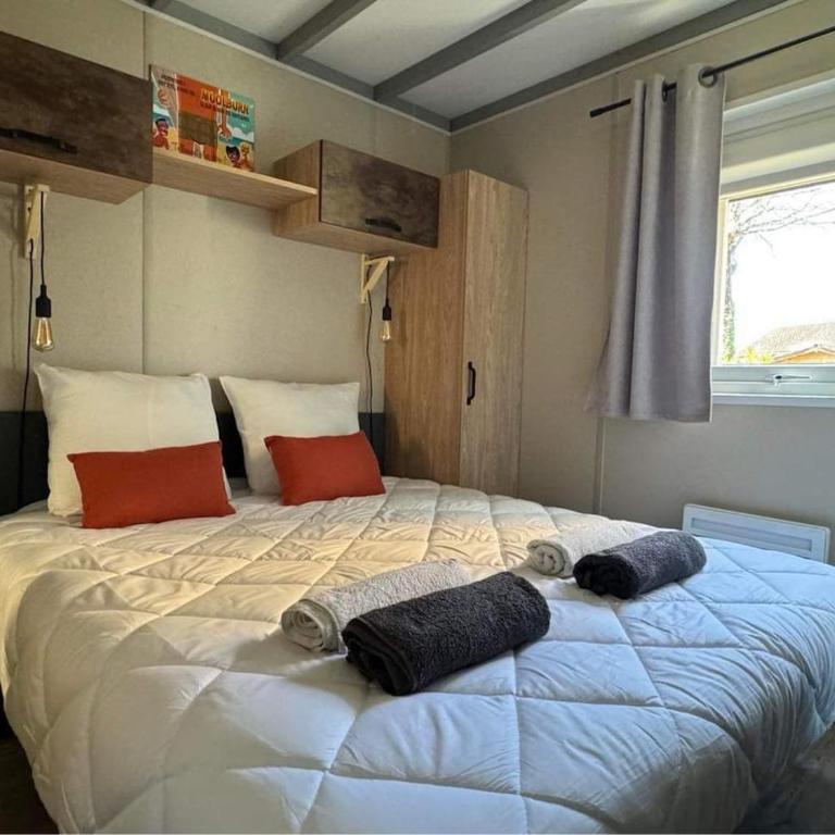 Air-conditioned chalet with pool near Arcachon - Chalet 2 Chambres - 4