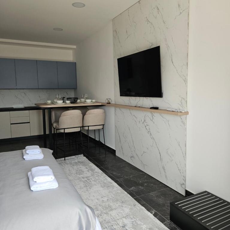 Swisslion Studios - One-Bedroom Apartment - 1