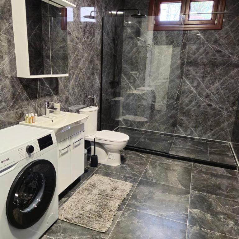 Swisslion Studios - One-Bedroom Apartment - 3