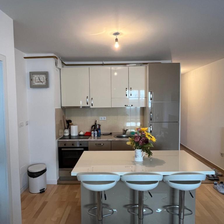 Modern Apartment Sarajevo - Apartman sa 1 Spavaćom Sobom - 1