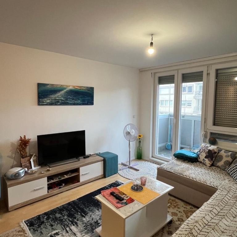 Modern Apartment Sarajevo - Apartman sa 1 Spavaćom Sobom - 6