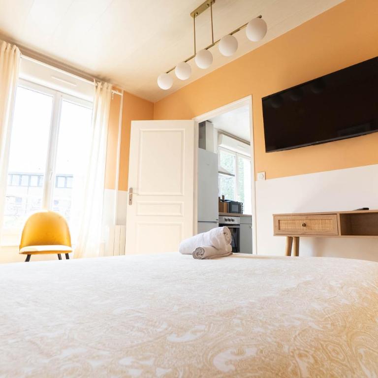 Lumineux appartement T3 calme Basilique Saint-Rémi - Appartamento con 1 Camera da Letto - 16