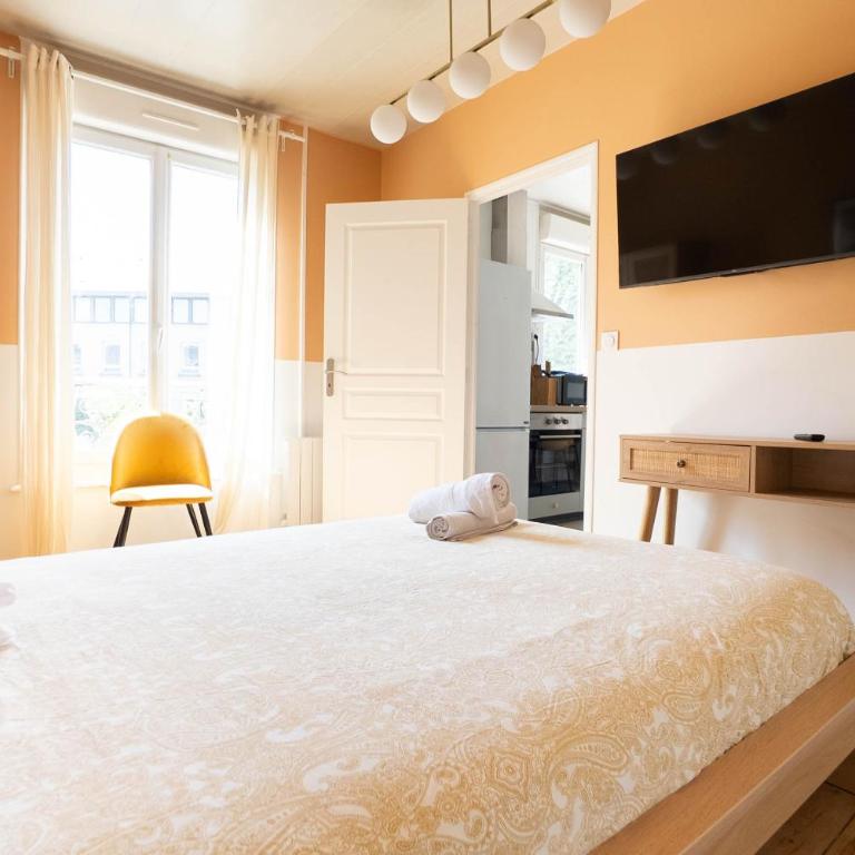 Lumineux appartement T3 calme Basilique Saint-Rémi - Appartamento con 1 Camera da Letto - 4