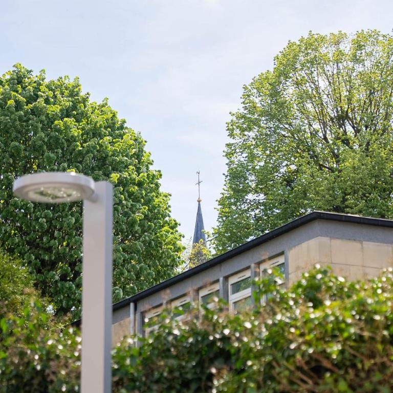 Lumineux appartement T3 calme Basilique Saint-Rémi - Appartamento con 1 Camera da Letto - 19