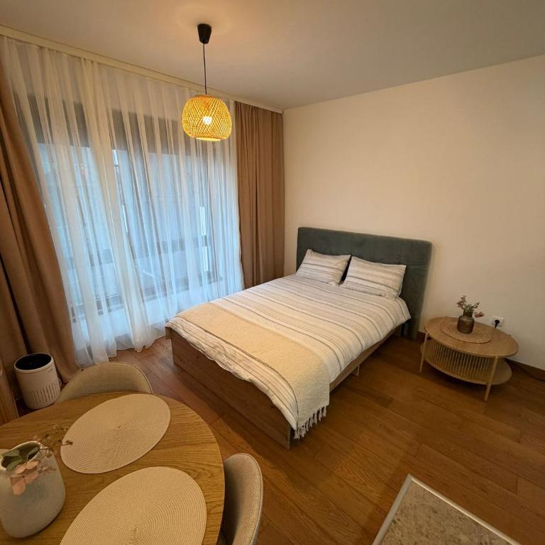 Aria studio apartman Kragujevac - One-Bedroom Apartment - 1