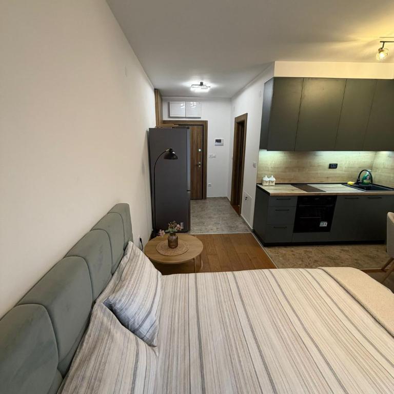Aria studio apartman Kragujevac - One-Bedroom Apartment - 2