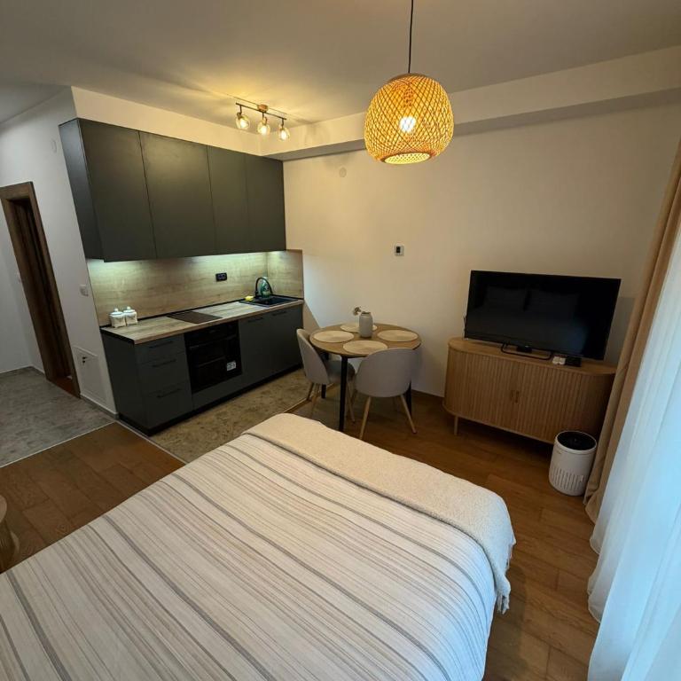Aria studio apartman Kragujevac - One-Bedroom Apartment - 4