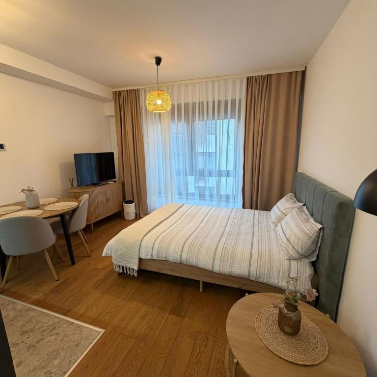 Aria studio apartman Kragujevac - One-Bedroom Apartment - 10