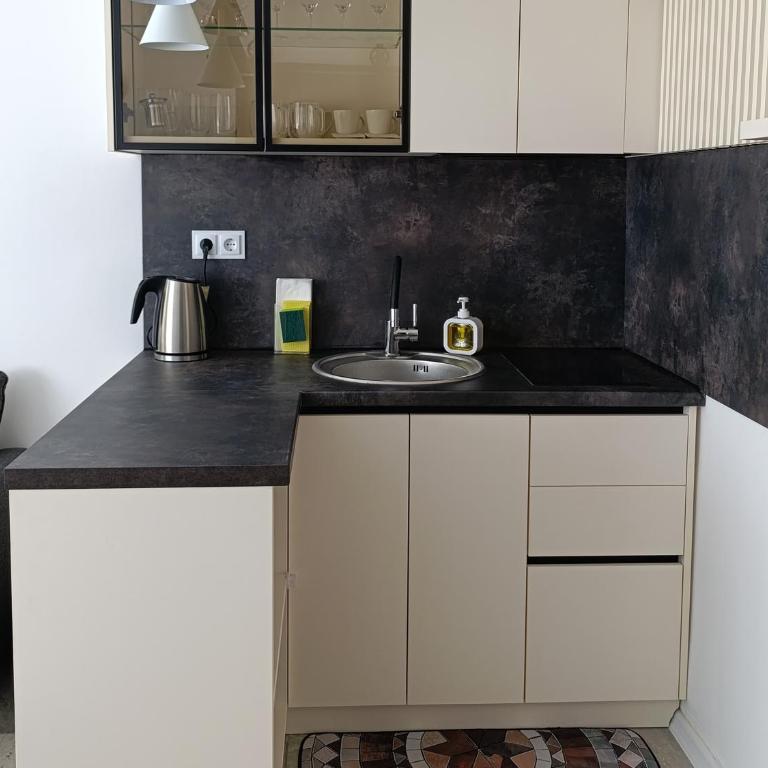 AR-20 Centar Sarajevo 2 plus 1 - Apartman sa 1 Spavaćom Sobom - 9