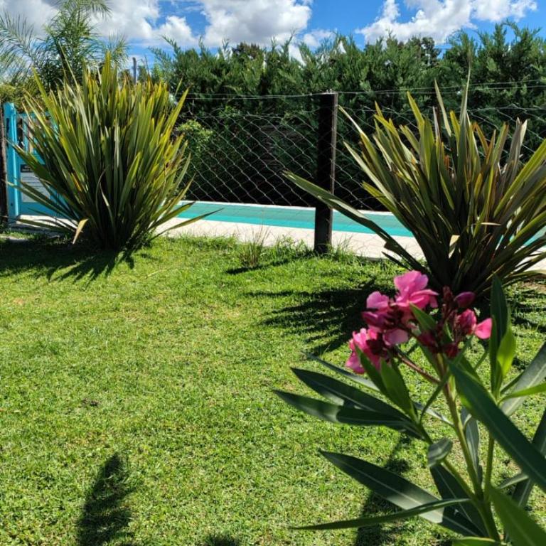 Bungalows La Nicasia de San Pedro - One-Bedroom House - 13