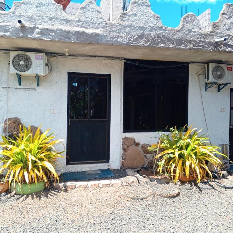 Private room for 4 people, Casa Oasis Galapagos - One-Bedroom Apartment - 2